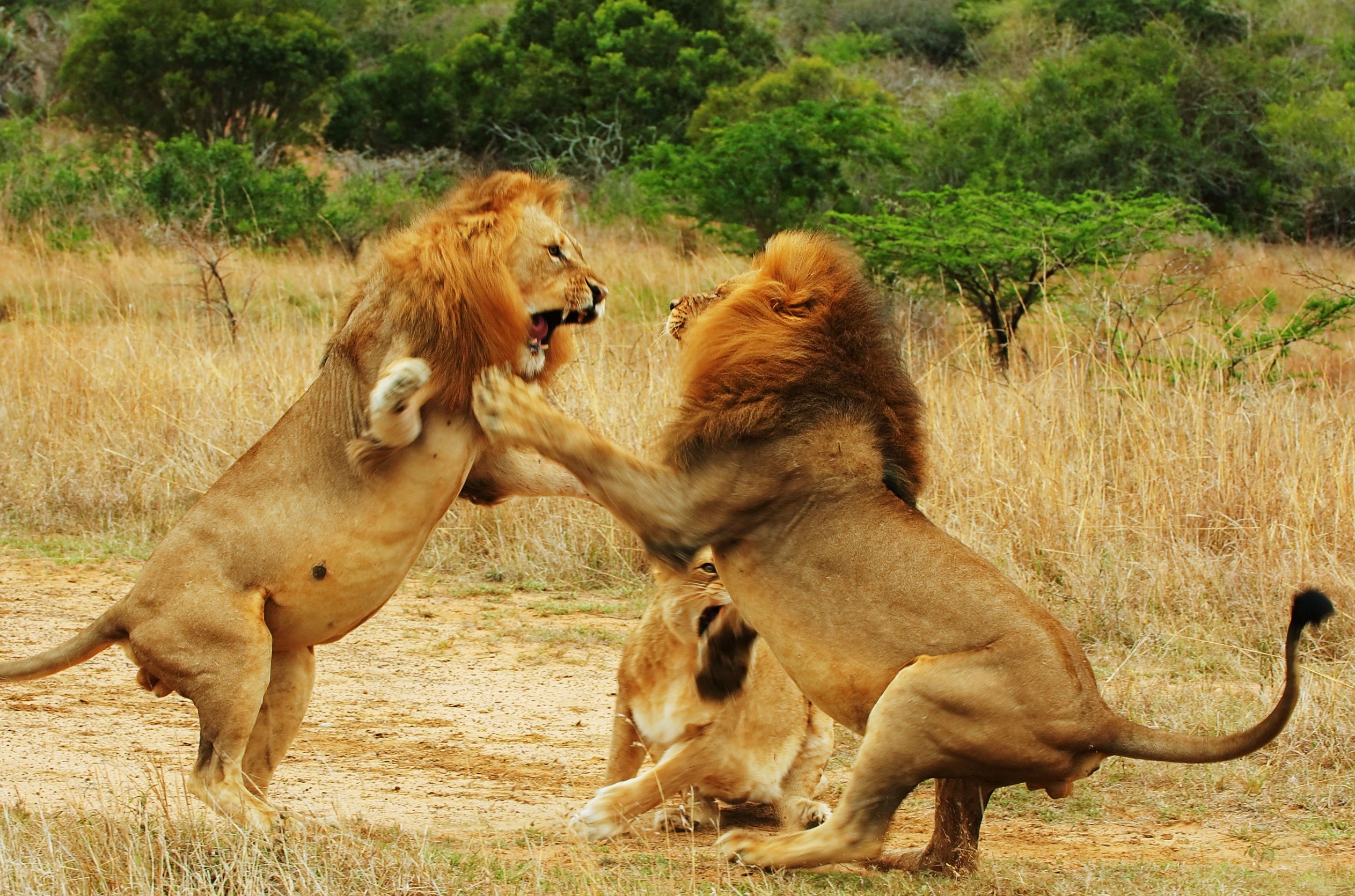 quarrel