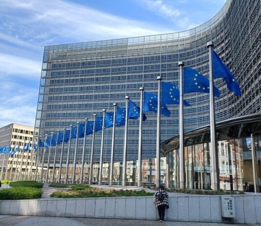 Zöld út a verseny előtt?